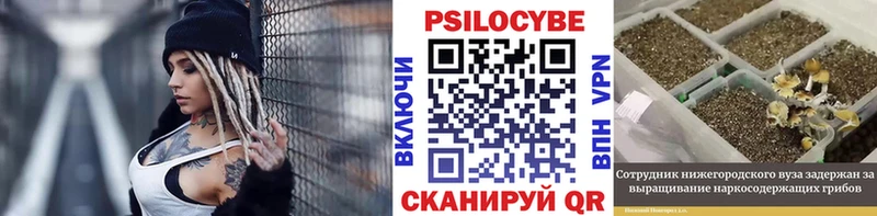 купить наркотики цена  это телеграм  Псилоцибиновые грибы Psilocybe  Мамоново  kraken ТОР 